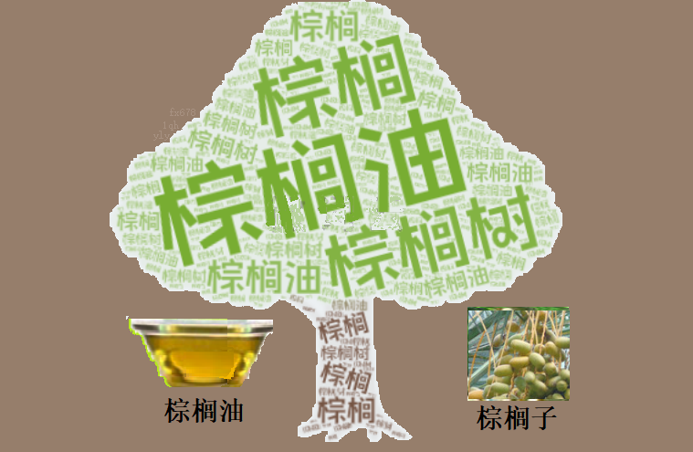 FxPro浦汇注册入口:棕榈油周线三连跌!技术面超卖,但空头仍在“控场”?